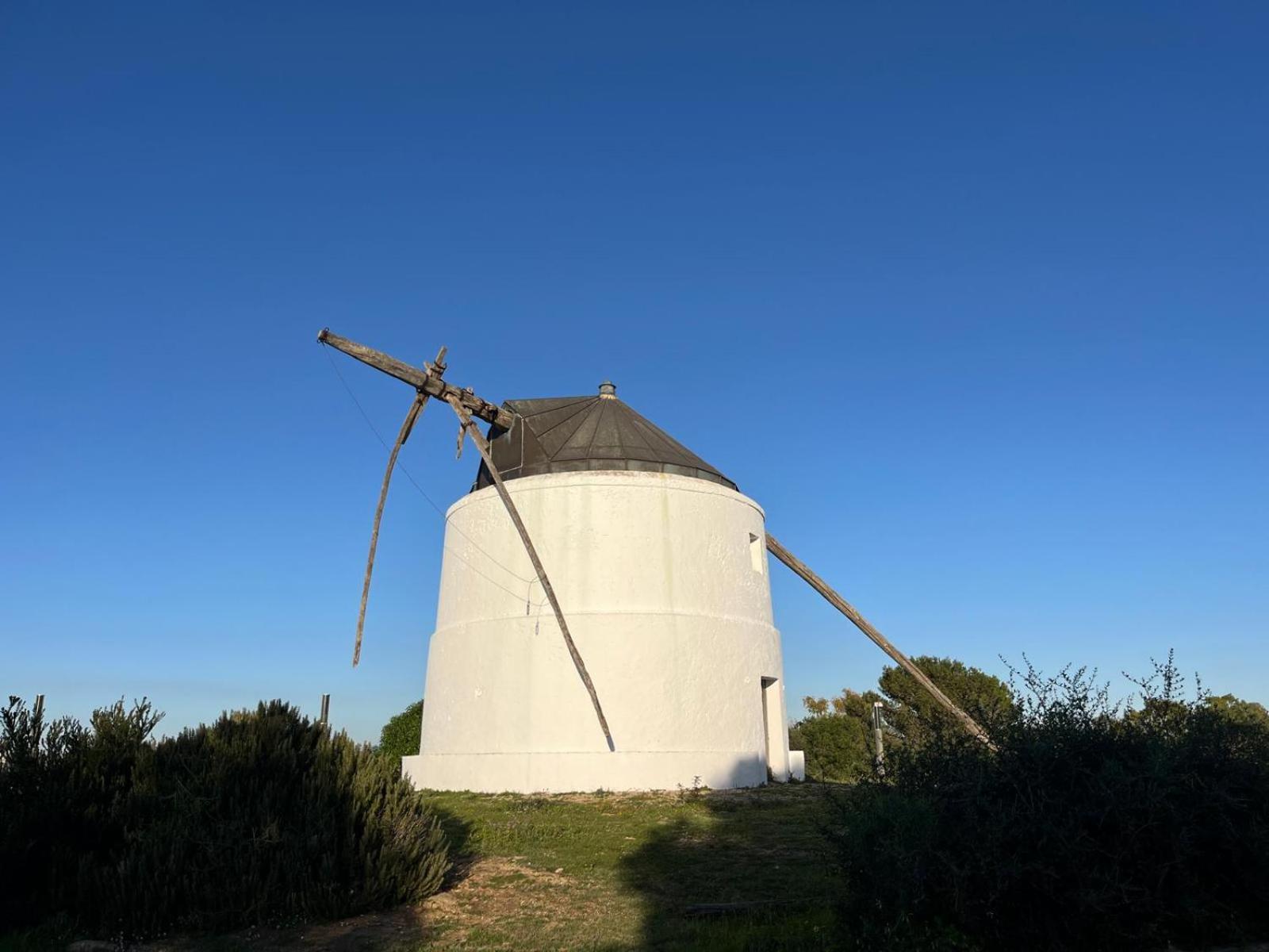Estudio Los Mellis Vejer de la Frontera Exterior foto